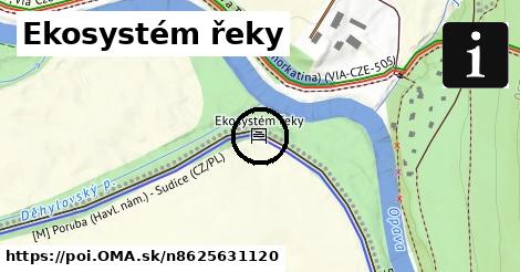 Ekosystém řeky