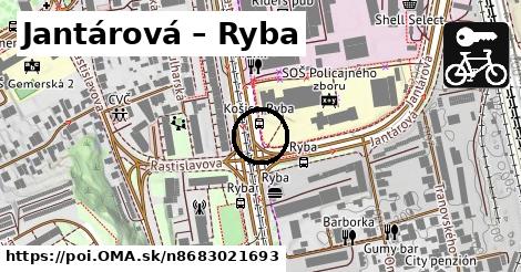 Jantárová – Ryba