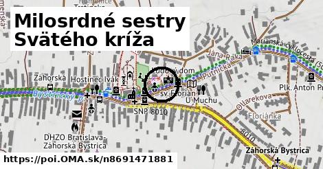 Milosrdné sestry Svätého kríža