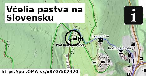 Včelia pastva na Slovensku