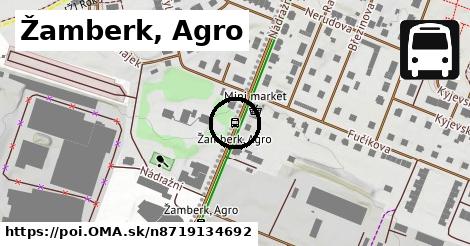 Žamberk, Agro