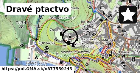 Dravé ptactvo