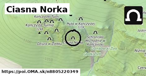 Ciasna Norka