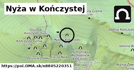 Nyża w Kończystej