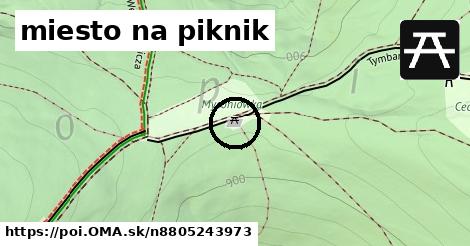 miesto na piknik