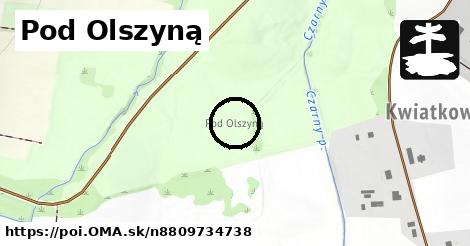 Pod Olszyną