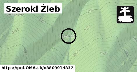 Szeroki Żleb