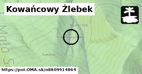 Kowańcowy Żlebek