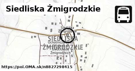 Siedliska Żmigrodzkie