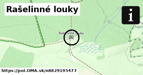 Rašelinné louky