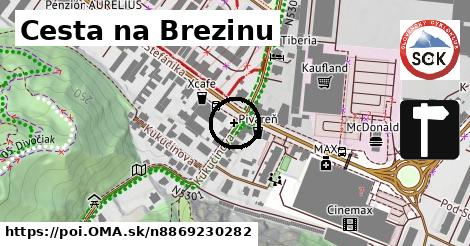 Cesta na Brezinu