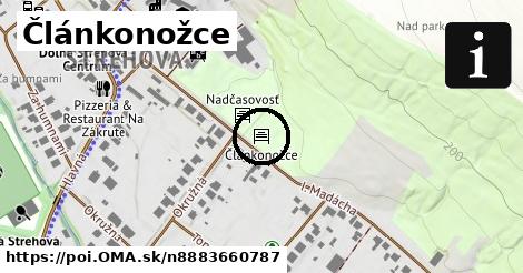 Článkonožce