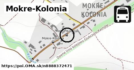 Mokre-Kolonia
