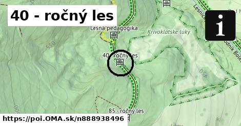 40 - ročný les