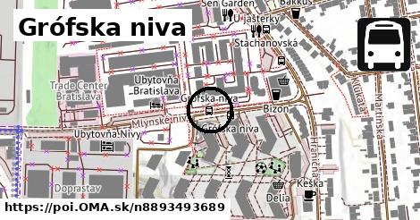 Grófska niva