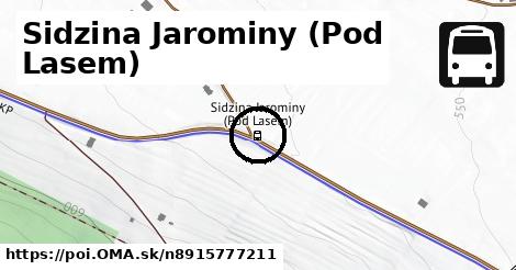 Sidzina Jarominy (Pod Lasem)