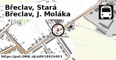 Břeclav, Stará Břeclav, J. Moláka