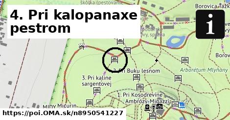 4. Pri kalopanaxe pestrom