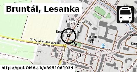 Bruntál, Lesanka