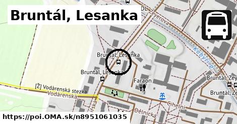 Bruntál, Lesanka