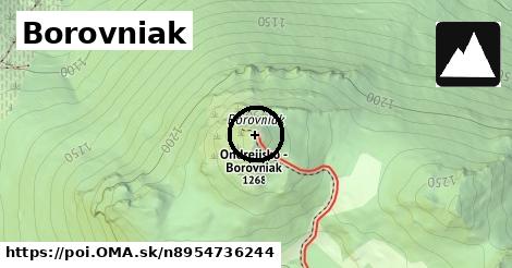 Borovniak