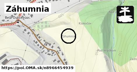 Záhumnia