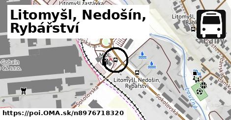 Litomyšl, Nedošín, Rybářství