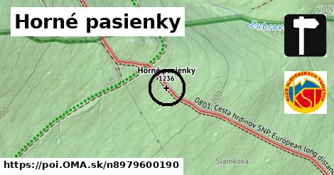 Horné pasienky