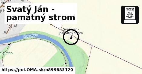 Svatý Ján - památný strom