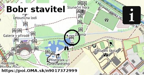 Bobr stavitel