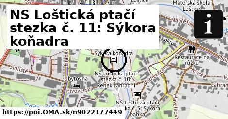 NS Loštická ptačí stezka č. 11: Sýkora koňadra