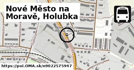 Nové Město na Moravě, Holubka