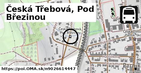 Česká Třebová, Pod Březinou