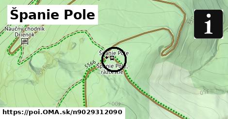 Španie Pole