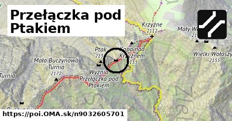 Przełączka pod Ptakiem