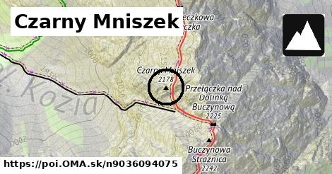 Czarny Mniszek