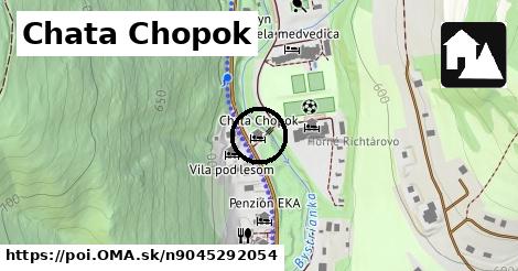 Chata Chopok