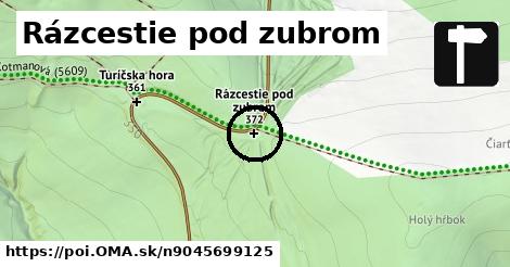 Rázcestie pod zubrom