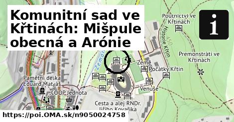 Komunitní sad ve Křtinách: Mišpule obecná a Arónie