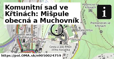 Komunitní sad ve Křtinách: Mišpule obecná a Muchovník