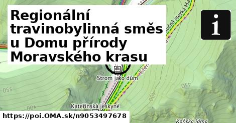 Regionální travinobylinná směs u Domu přírody Moravského krasu