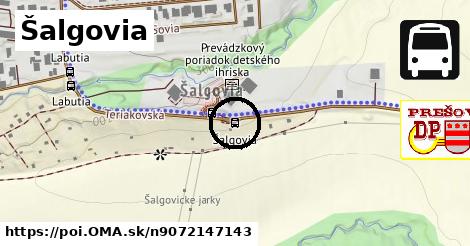 Šalgovia