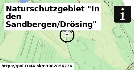Naturschutzgebiet "In den Sandbergen/Drösing"