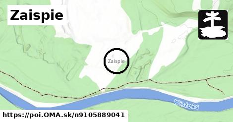 Zaispie