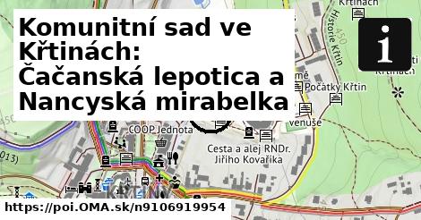 Komunitní sad ve Křtinách: Čačanská lepotica a Nancyská mirabelka