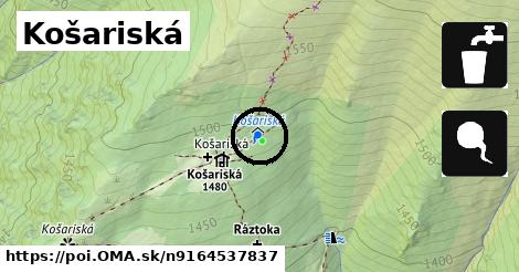 Košariská