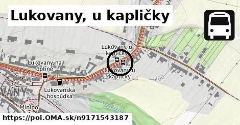 Lukovany, u kapličky