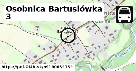 Osobnica Bartusiówka 3