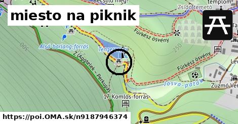 miesto na piknik