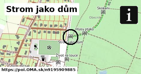 Strom jako dům